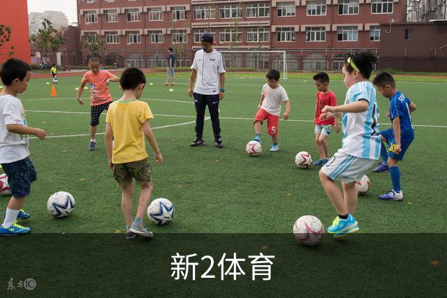 新2体育公司简介